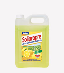 Nettoyant multi-surfaces parfumé citron 5 L